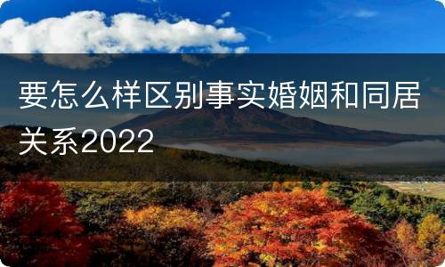 要怎么样区别事实婚姻和同居关系2022