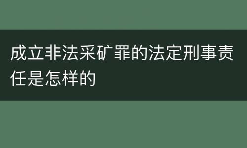 成立非法采矿罪的法定刑事责任是怎样的