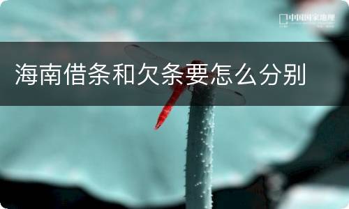海南借条和欠条要怎么分别