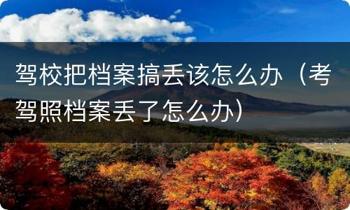驾校把档案搞丢该怎么办（考驾照档案丢了怎么办）