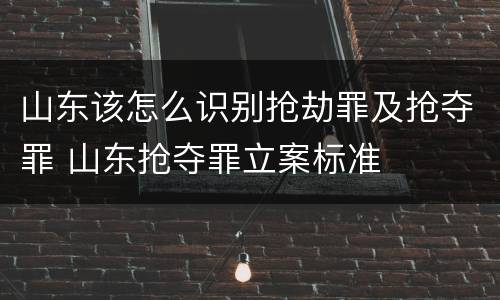 山东该怎么识别抢劫罪及抢夺罪 山东抢夺罪立案标准