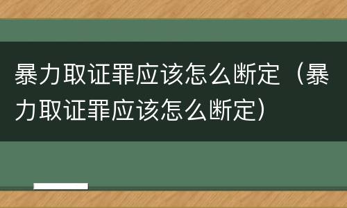 暴力取证罪应该怎么断定（暴力取证罪应该怎么断定）