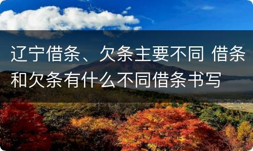 辽宁借条、欠条主要不同 借条和欠条有什么不同借条书写