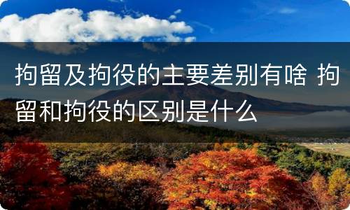 拘留及拘役的主要差别有啥 拘留和拘役的区别是什么