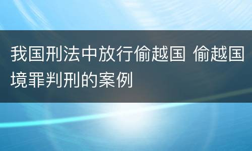 我国刑法中放行偷越国 偷越国境罪判刑的案例