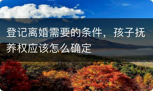 登记离婚需要的条件，孩子抚养权应该怎么确定