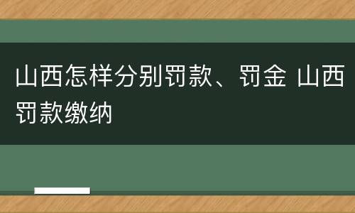 山西怎样分别罚款、罚金 山西罚款缴纳