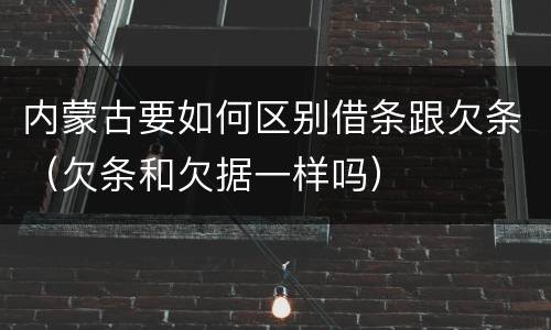 内蒙古要如何区别借条跟欠条（欠条和欠据一样吗）