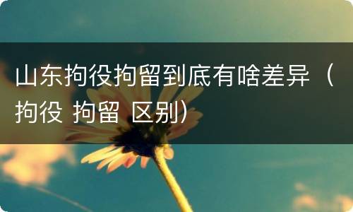 山东拘役拘留到底有啥差异（拘役 拘留 区别）