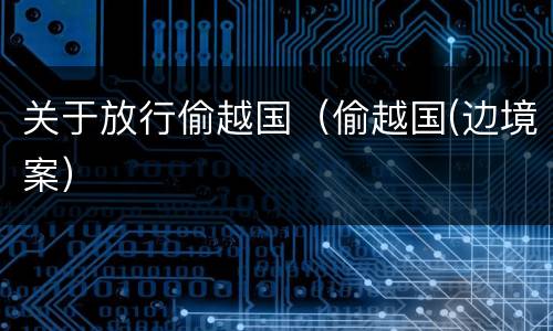 关于放行偷越国（偷越国(边境案）