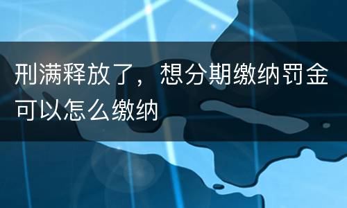 刑满释放了，想分期缴纳罚金可以怎么缴纳