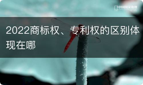 2022商标权、专利权的区别体现在哪