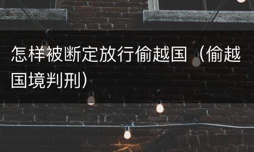 怎样被断定放行偷越国（偷越国境判刑）
