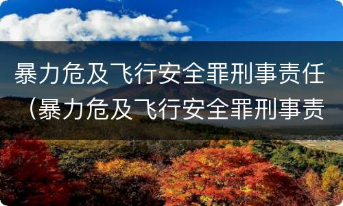 暴力危及飞行安全罪刑事责任（暴力危及飞行安全罪刑事责任主体）