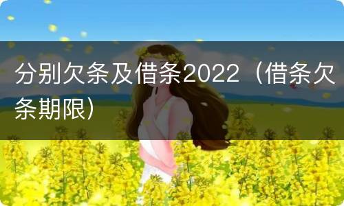 分别欠条及借条2022（借条欠条期限）