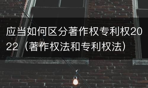 应当如何区分著作权专利权2022（著作权法和专利权法）