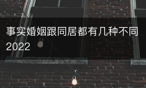 事实婚姻跟同居都有几种不同2022