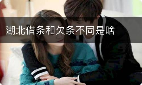 湖北借条和欠条不同是啥