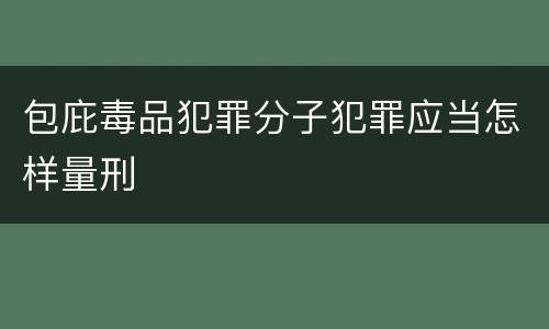 包庇毒品犯罪分子犯罪应当怎样量刑