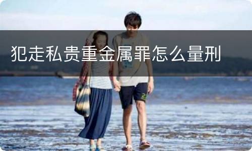 犯走私贵重金属罪怎么量刑