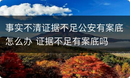 事实不清证据不足公安有案底怎么办 证据不足有案底吗