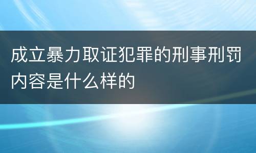 成立暴力取证犯罪的刑事刑罚内容是什么样的