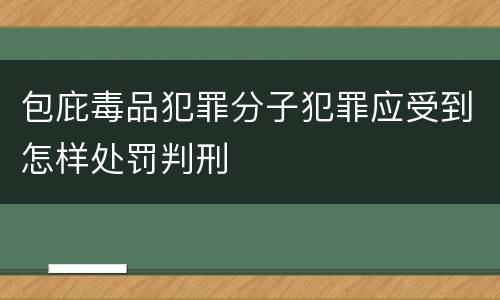 包庇毒品犯罪分子犯罪应受到怎样处罚判刑