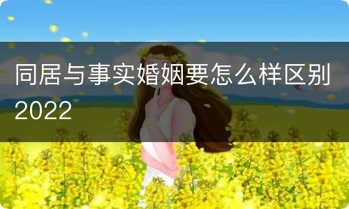 同居与事实婚姻要怎么样区别2022