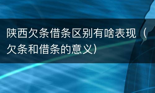 陕西欠条借条区别有啥表现（欠条和借条的意义）