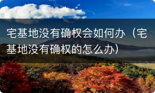 宅基地没有确权会如何办（宅基地没有确权的怎么办）