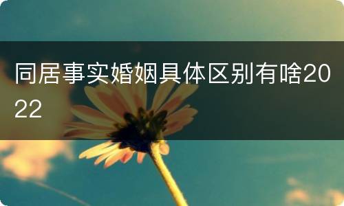 同居事实婚姻具体区别有啥2022