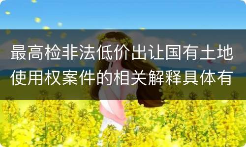 最高检非法低价出让国有土地使用权案件的相关解释具体有哪些重要内容