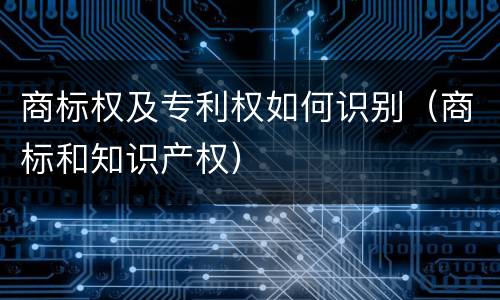 商标权及专利权如何识别（商标和知识产权）