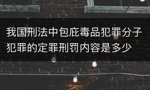 我国刑法中包庇毒品犯罪分子犯罪的定罪刑罚内容是多少