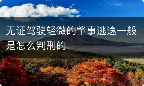 无证驾驶轻微的肇事逃逸一般是怎么判刑的