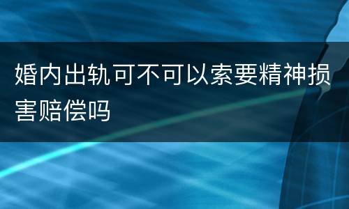 婚内出轨可不可以索要精神损害赔偿吗