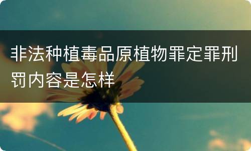非法种植毒品原植物罪定罪刑罚内容是怎样