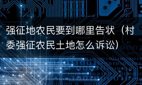 强征地农民要到哪里告状（村委强征农民土地怎么诉讼）
