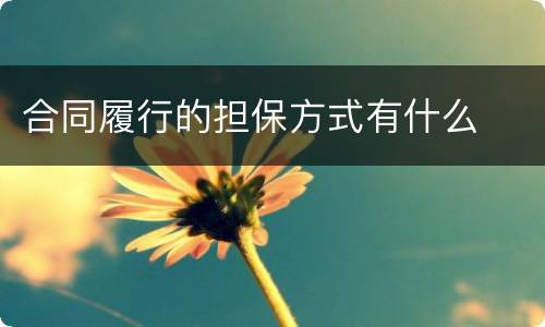合同履行的担保方式有什么