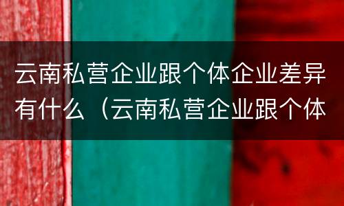 云南私营企业跟个体企业差异有什么（云南私营企业跟个体企业差异有什么影响）