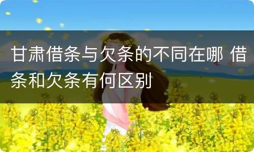 甘肃借条与欠条的不同在哪 借条和欠条有何区别