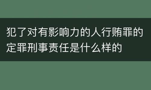 犯了对有影响力的人行贿罪的定罪刑事责任是什么样的