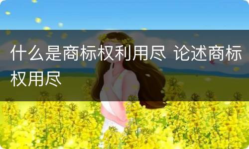 什么是商标权利用尽 论述商标权用尽