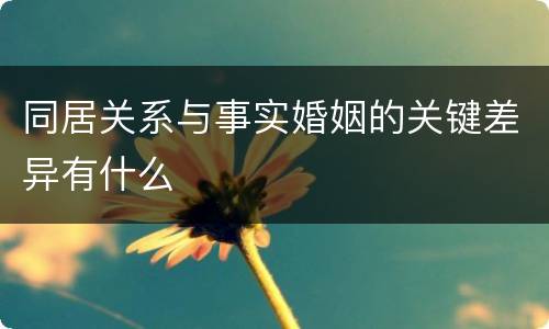 同居关系与事实婚姻的关键差异有什么