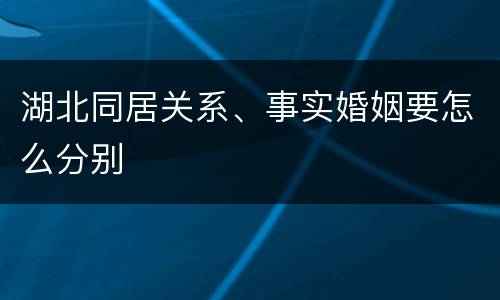湖北同居关系、事实婚姻要怎么分别