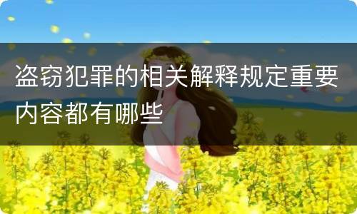 盗窃犯罪的相关解释规定重要内容都有哪些