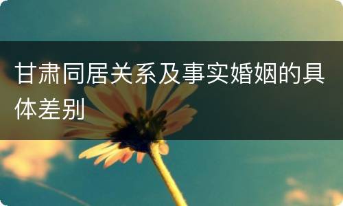 甘肃同居关系及事实婚姻的具体差别