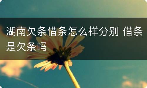 湖南欠条借条怎么样分别 借条是欠条吗