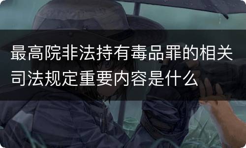 最高院非法持有毒品罪的相关司法规定重要内容是什么