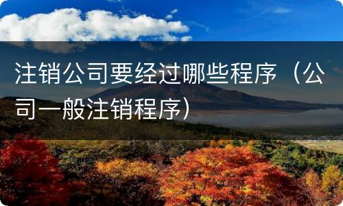 注销公司要经过哪些程序（公司一般注销程序）